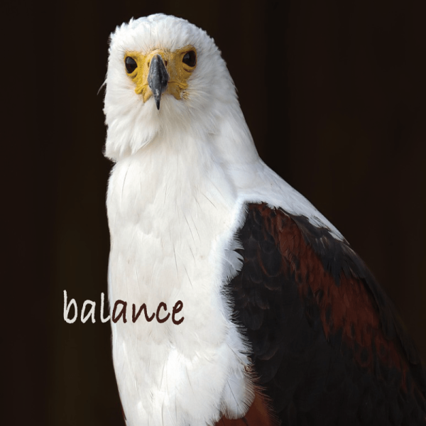 Balance projection 1erS 2026