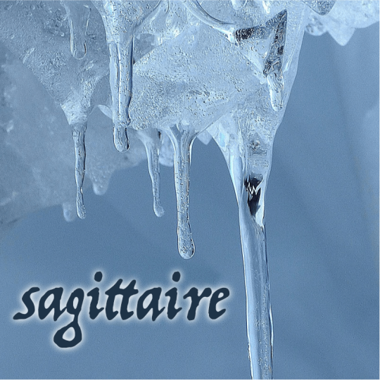 sagittaire décembre  2025