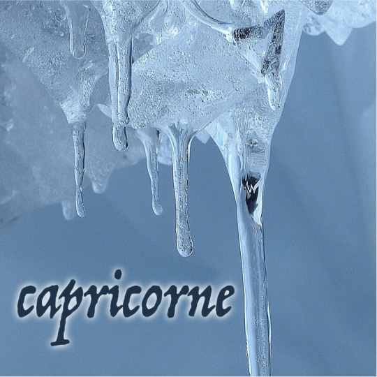 capricorne décembre  2025