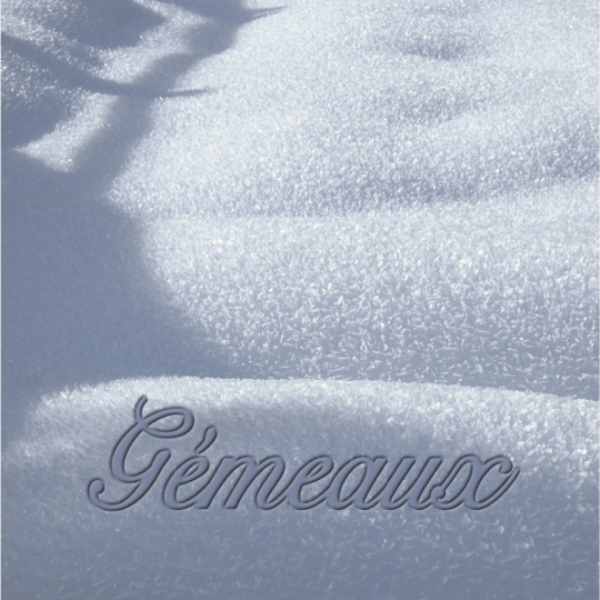 sagittaire décembre  2025