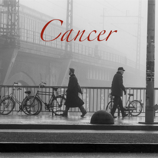 sagittaire décembre  2025