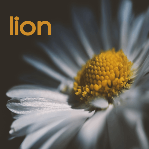 lion mars 2026