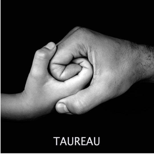Taureau VS