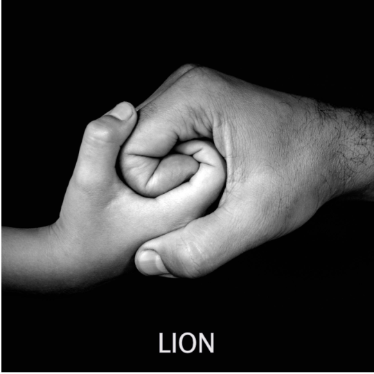 Lion VS