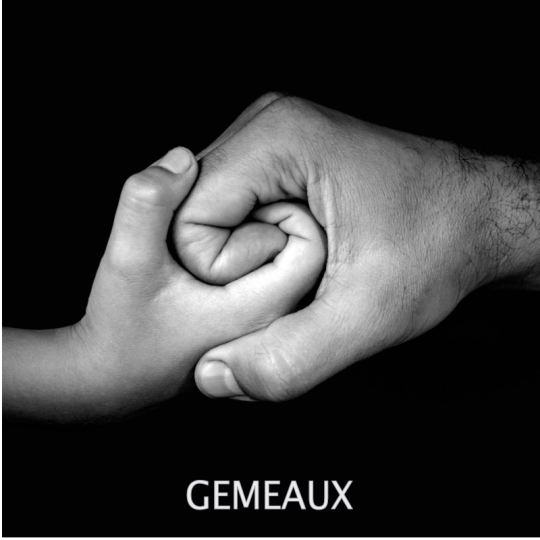 gémeaux VS