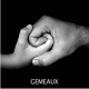 gémeaux VS