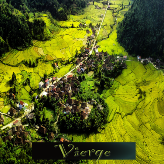 vierge mai 2026