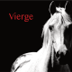 Vierge projection 2S 2026
