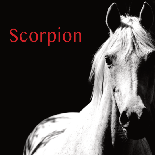 Scorpion projection 2S 2026