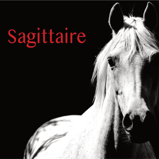 Sagittaire projection 2S 2026