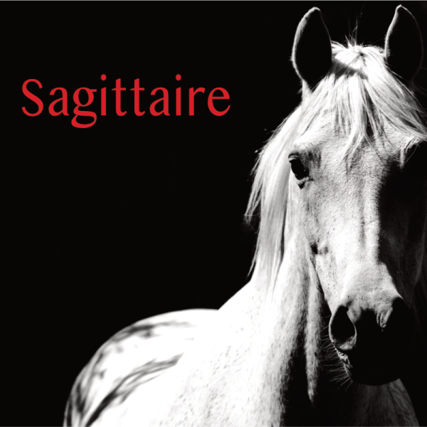 Sagittaire projection 2S 2026
