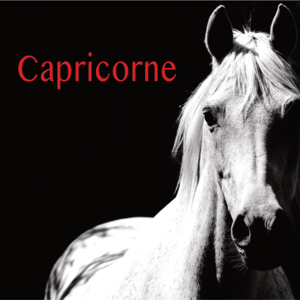 Capricorne projection 2S 2026