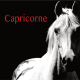 Capricorne projection 2S 2026