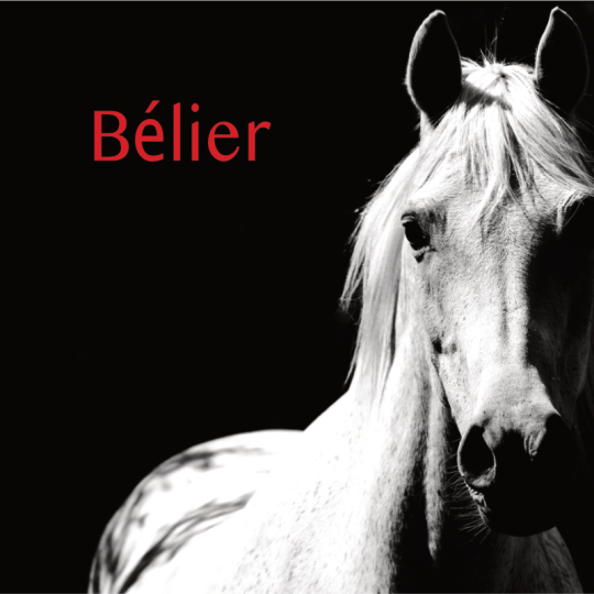 Bélier projection 2S 2026