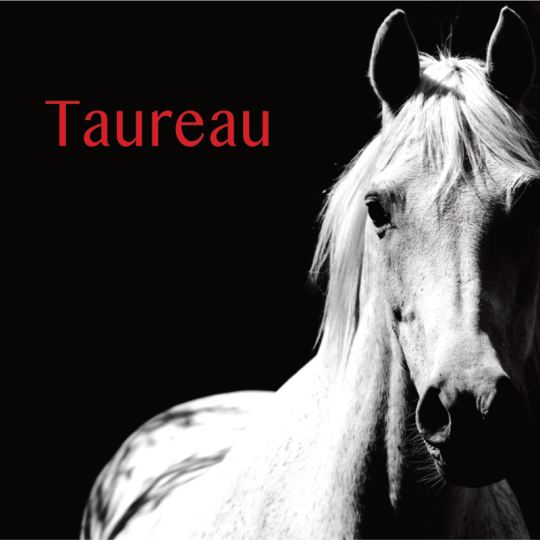 Taureau projection 2S 2026
