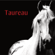 Taureau projection 2S 2026