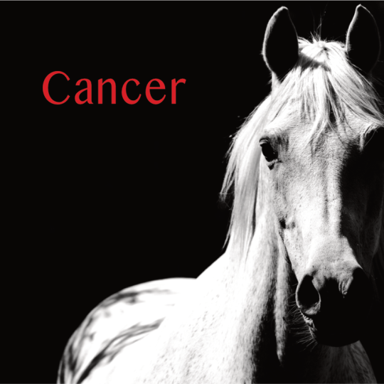 Cancer projection 2S 2026