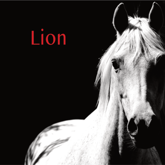 Lion projection 2S 2026
