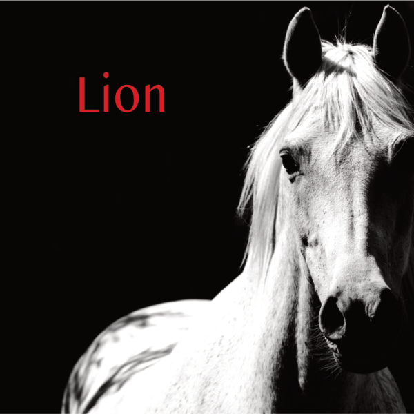 Lion projection 2S 2026
