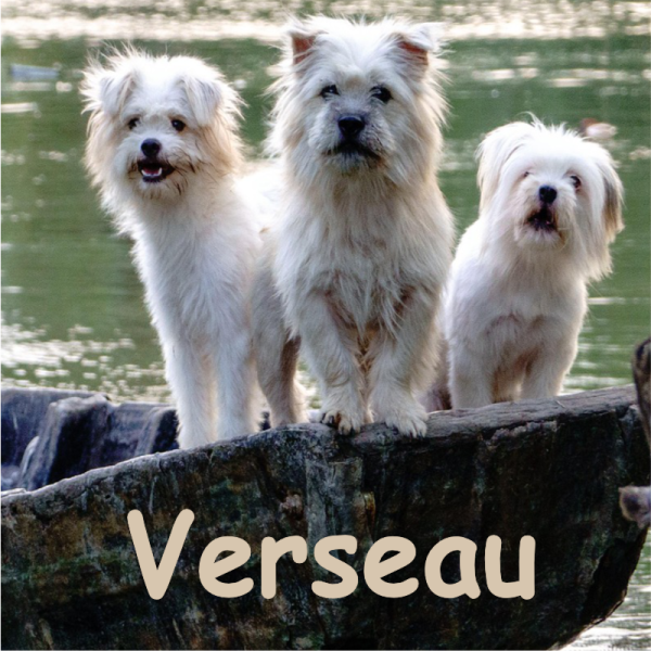 verseau septembre 2026