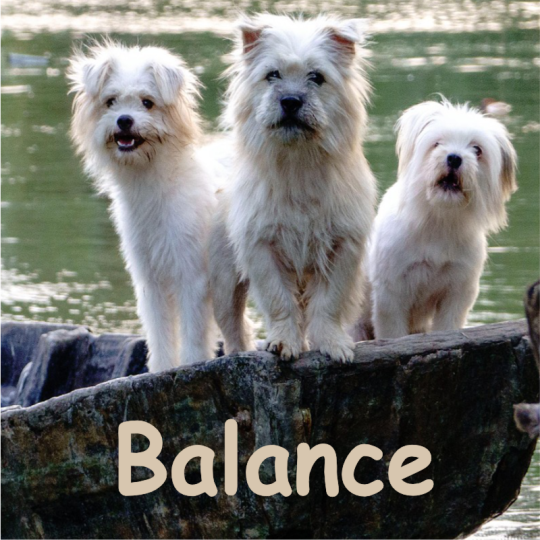 balance septembre 2026