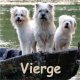 vierge septembre 2026