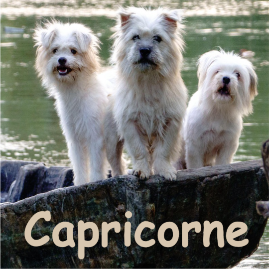 capricorne septembre 2026