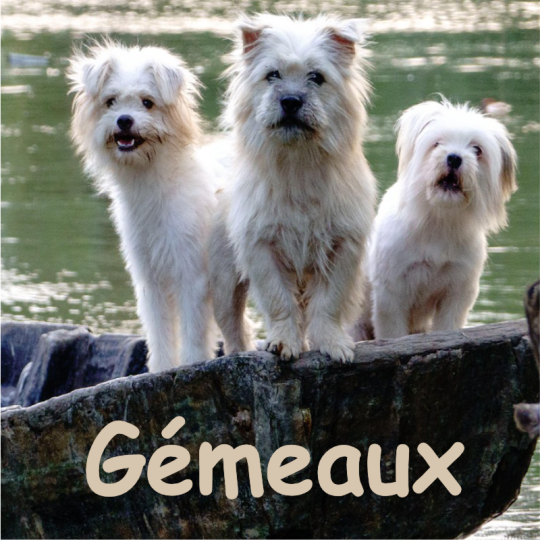 gémeaux septembre 2026
