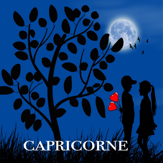 capricorne VS