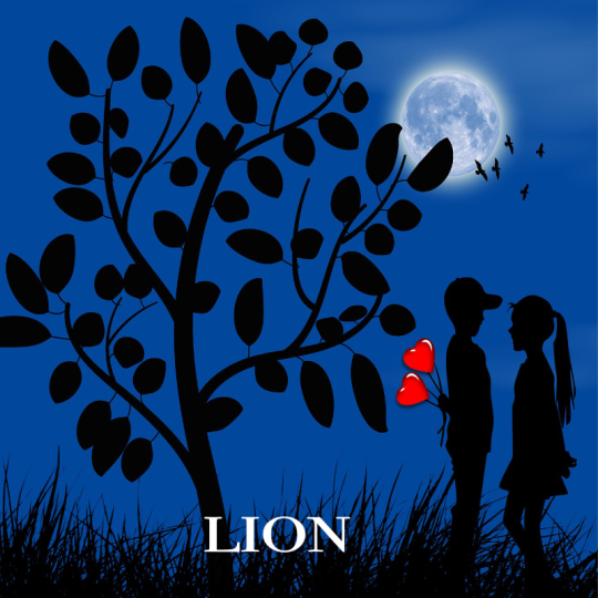 lion VS