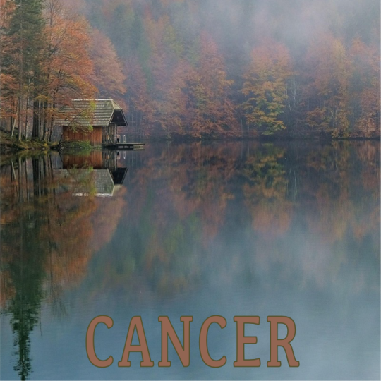 cancer octobre 2026