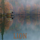 lion octobre 2026
