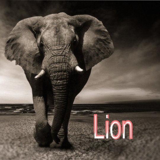 Lion ~ Hors série - Projection 2023 partie 1