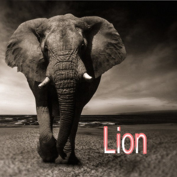 Lion ~ Hors série - Projection 2023 partie 1