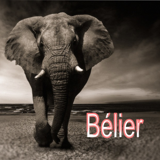 Bélier ~ Hors série – Projection 2023 partie 1