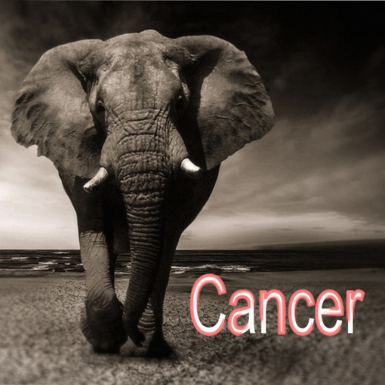 Cancer ~ Hors série - Projection 2023 partie 1