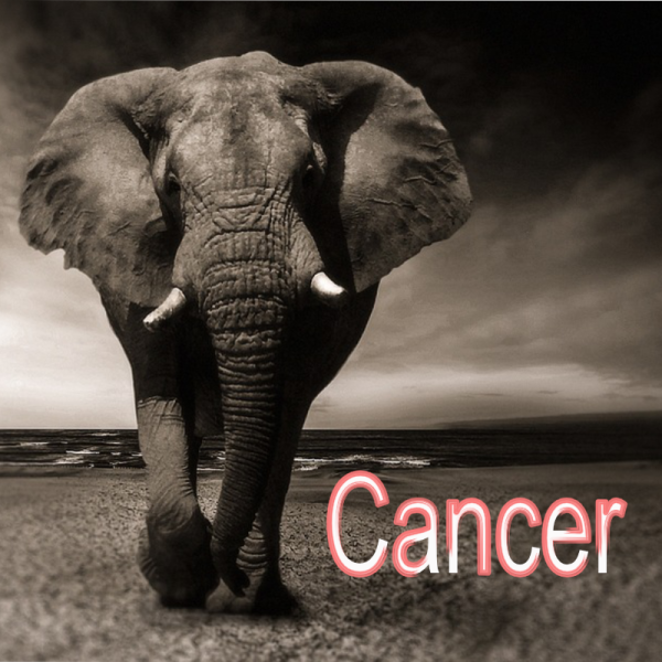 Cancer ~ Hors série - Projection 2023 partie 1