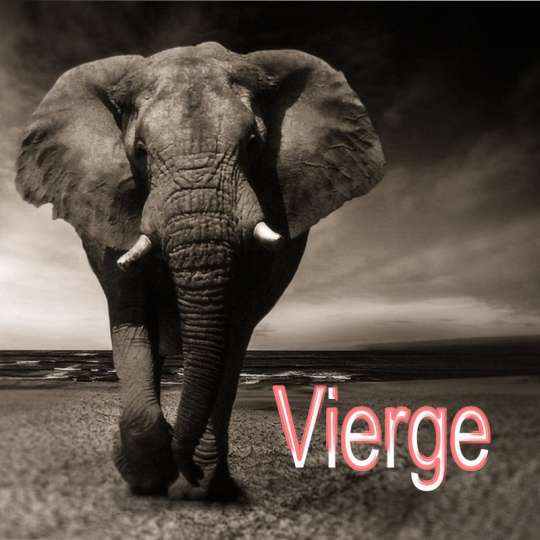 Vierge ~ Hors série – Projection 2023 partie 1