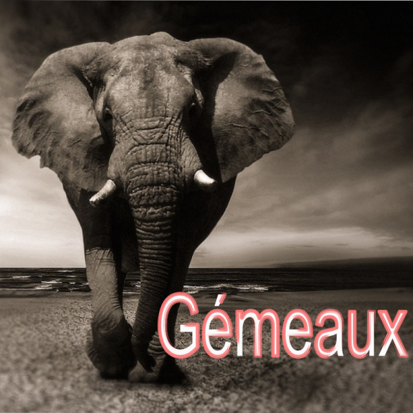 Gémeaux ~ Hors série - Projection 2023 partie 1