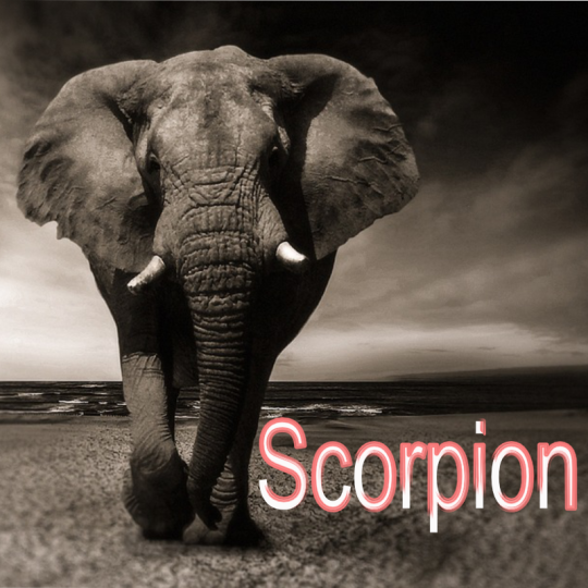 Scorpion ~ Hors série – Projection 2023 partie 1