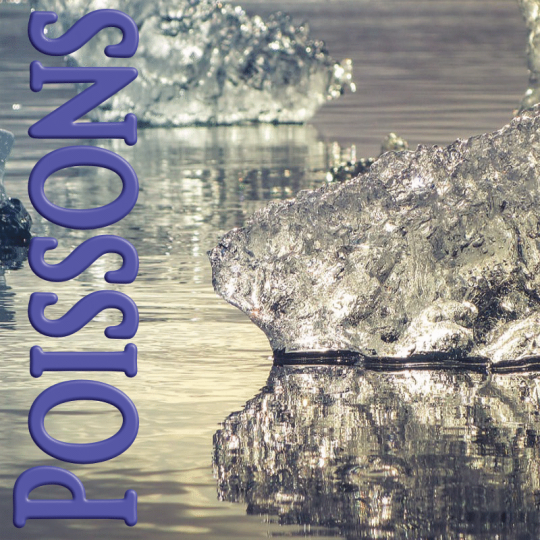 Poissons janvier 2023