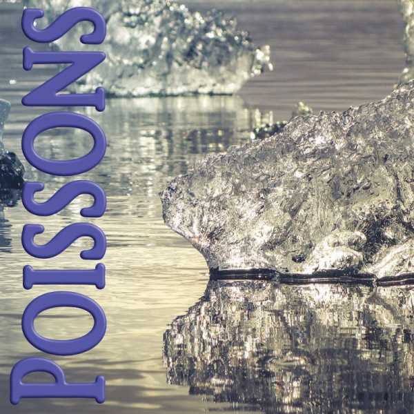 Poissons janvier 2023