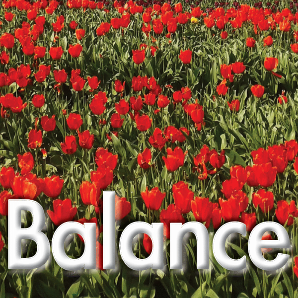 Balance mars 2023