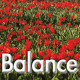 Balance mars 2023