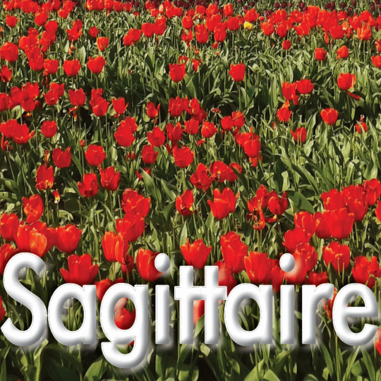 Sagittaire mars 2023