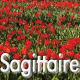 Sagittaire mars 2023