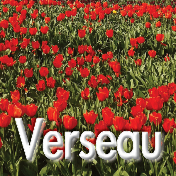 Verseau mars 2023
