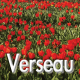 Verseau mars 2023