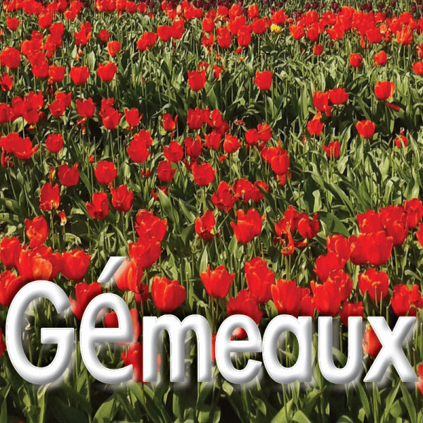 Gémeaux mars 2023