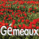 Gémeaux mars 2023